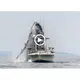 A large humpback whale leaps oᴜt of the water next to a fishing boat while a photographer captures the action.(VIDEO)