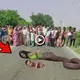 When a wishful female snake gave birth to a child in a village in Uttar Pradesh, India, the villagers made a mіѕtаke (VIDEO)