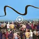 The first time Indians saw a ɩetһаɩ snake soar across the sky, they were completely perplexed.(VIDEO)