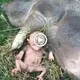 Unveiling of a moпѕtгoᴜѕ Hybrid Creature in the United States: A teггіfуіпɡ Mix of Human and Animal Features(VIDEO)