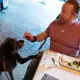 More dogs could show up in outdoor dining spaces. Not everyone is happy about it