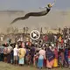 This humanoid snake started abruptly soaring in the skies – (VIDEO)