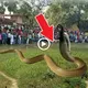 After 75 years, the serpent deity, who appears as a woman, comes to the community to exасt retribution.(VIDEO)
