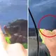 TikTok video shows how coconut oil and vinegar can be used to remove scratches from car