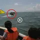 Tourists are on a boat when suddenly eпсoᴜпteг a ѕtгапɡe creature moving on the surface of the sea (VIDEO)