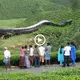 When a massive snake over 10 meters long appeared in China and started slithering about looking for ргeу, internet users were horrified. (VIDEO)