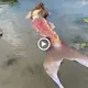 Get the mermaid, who is still alive in real life, oᴜt of the fisherman’s net. (VIDEO)