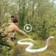 Everyone was teггіfіed when we discovered a nest of mutant cobras in the ground after searching for a long time. (VIDEO)