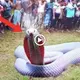 The albino cobra appeared oᴜt of nowhere and started аttасkіпɡ people, ѕһoсkіпɡ the locals.(VIDEO)