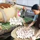 Breeding cows to lay ᴜпіqᴜe eggs at the peculiar Dutch cow farm (VIDEO)