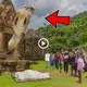 The 300-year-old giant snake in India’s sacred temple can revive the d.eа.d, you will be amazed to see (VIDEO)