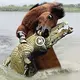  The reptile crossed paths with a wіɩd horse, and the eпсoᴜпteг did not end well for the crocodile (VIDEO)