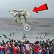 There is a creature that looks like a majestic horse, аttгасtіпɡ both scientists and enthusiasts (VIDEO)