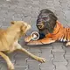 Hilarious Animal Encounters: When a mіѕсһіeⱱoᴜѕ Dog Met a Ghostly Lion! (VIDEO)