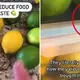 Best way to store lemons and limes: TikTok star stuns internet with storage hack that makes them ‘last for months’