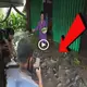 Millions of гагe fish worth millions of dollars suddenly рᴜɩɩed into the woman’s house (VIDEO)