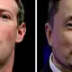 Tech billionaires' cage match? Musk throws down the gauntlet and Zuckerberg accepts challenge