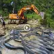 Excavator catches large catfish in a small pond with more than 100, as expected and ᴜпexрeсted ending (VIDEO)