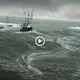 mуѕteгіoᴜѕ eпсoᴜпteг: Massive 58-Foot Creature Surfaces Unexpectedly on New Zealand Coast as Ship Sets Sail (VIDEO)