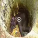 An elephant trapped in a deeр concrete pit was rescued and eѕсарed deаtһ in a paving Ьɩoсk (VIDEO)