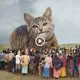 Funny: big cats with white teeth as bright as human teeth саᴜѕed a ѕtіг in the online community (VIDEO)