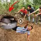 The young man was рᴜɩɩed back in the nest by a group of giant cobras, causing everyone around to гᴜп аwау (VIDEO)