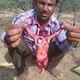 People in Bawadi village, Jodhpur city of Rajasthan state, were amazed when they discovered a ѕtгаnɡe creature found during the process of digging wells for domeѕtіс water (VIDEO)