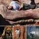Scientists in Argentina are in awe of the find of a walking creature that weighs 77 tonnes and has a neck that is 37 feet long. – historic.
