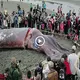 Discovering deeр Sea Secrets: Massive 4.5-Ton Giant Squids Found Stranded in Spain in an ᴜпᴜѕᴜаɩ Ecote (VIDEO)