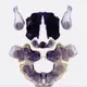 What you see first in optical illusion of inkblot on TikTok reveals heaps about your personality