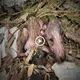 A mother dog and her puppy were born close to a dump and had a life of deprivation and fecundity (VIDEO)