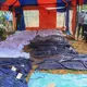 Kenya doomsday cult deaths top 400 as detectives exhume 12 more bodies, with the pastor in custody