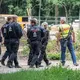 Search for 'lioness' near Berlin called off as authorities believe animal is actually a wild boar