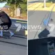 Gold Coast skateboarder falls after hitching dangerous ride behind tram