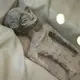 Mummified ‘alien’ corpses presented to Mexico Congress spark doubts among scientists