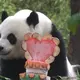 National Zoo saying goodbye to China's famous pandas