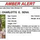 Amber Alert issued for possibly abducted 9-year-old girl last seen at New York state park