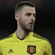 Newcastle offered chance to sign David de Gea following Nick Pope injury