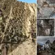 Massive Find: Paleontologists Unearth Largest Known Dinosaur Track Site in Alaska, Revealing Ancient Footprint Treasures