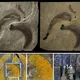 Remarkable Discovery: 455-Million-Year-Old Well-Preserved Fossils Reveal Two New Marine Worms Exhibiting ‘Polar Gigantism’ Found in Morocco
