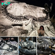 Black Beauty – one of the most complete T. rex skeletons ever found! In classic ‘death pose’, her bones are black from a specific mineral exposure during fossilisation