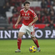 Benfica release statement on Man Utd's interest in Joao Neves