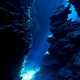 Colossal underwater canyon discovered near seamount deep in the Mediterranean Sea