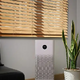 Best air purifiers 2024: Top 10 picks from Levoit, Dyson and more