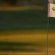 The Mexico Open Championship: Round 1 Thursday tee times and pairings