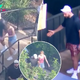 Taylor Swift and Travis Kelce enjoy day out, meet koalas at Sydney Zoo as he lands in Australia