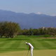 How much does it cost to play at the Vidanta Vallarta course?