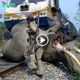 Come Together to Save Elephants Trapped on the Railway from 6pm Until Late