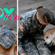 TT Emotional Reunion: Senior Pup Overcomes Walking Challenges, Tears Flow as Soldier Mom Returns