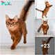 “Embark on a Fluffy Adventure: Discover the Majesty of Cats and Their Luxurious Tails! Sw